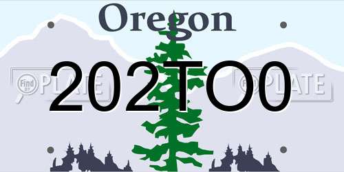 202TO0 Oregon License Plate