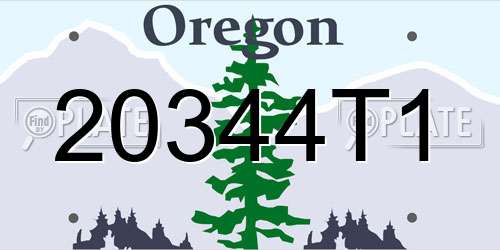 20344T1 Oregon License Plate