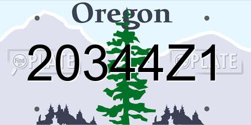 20344Z1 Oregon License Plate