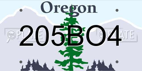 205BO4 Oregon License Plate