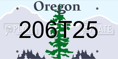 206T25 Oregon License Plate
