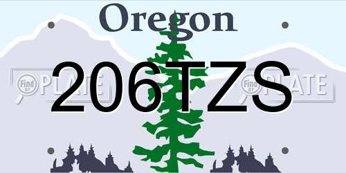 206TZS Oregon License Plate