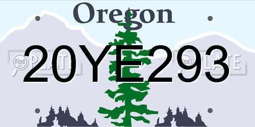 20YE293 Oregon License Plate