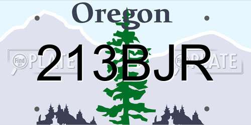 213BJR Oregon License Plate