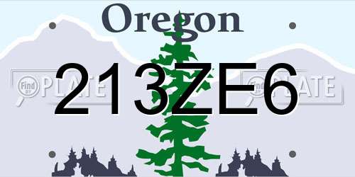 213ZE6 Oregon License Plate