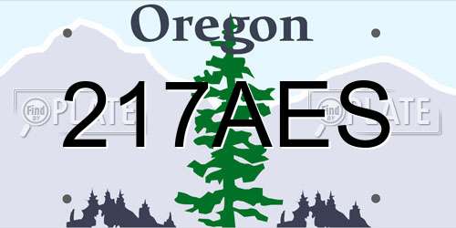 217AES Oregon License Plate