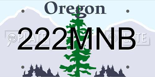222MNB Oregon License Plate