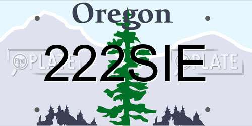 222SIE Oregon License Plate
