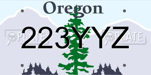 223YYZ Oregon License Plate