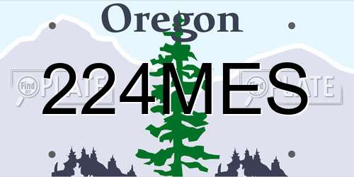224MES Oregon License Plate
