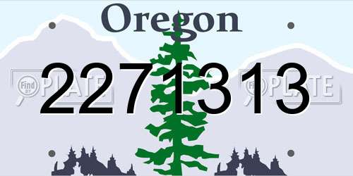 2271313 Oregon License Plate