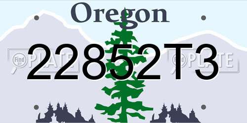 22852T3 Oregon License Plate