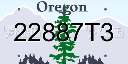 22887T3 Oregon License Plate