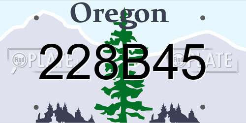 228B45 Oregon License Plate