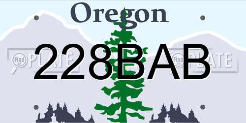 228BAB Oregon License Plate