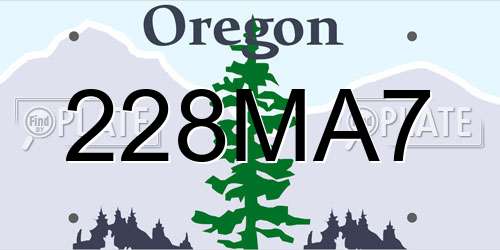 228MA7 Oregon License Plate