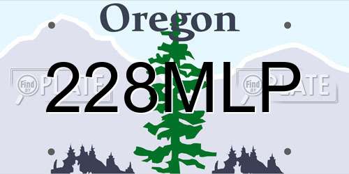 228MLP Oregon License Plate