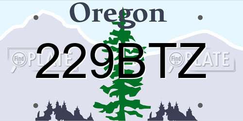 229BTZ Oregon License Plate