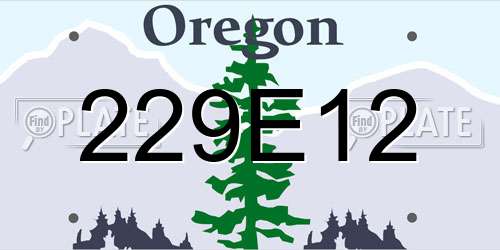 229E12 Oregon License Plate