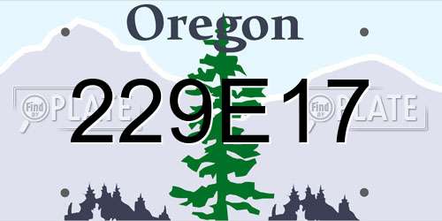 229E17 Oregon License Plate