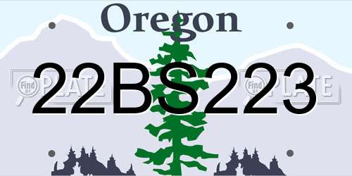 22BS223 Oregon License Plate