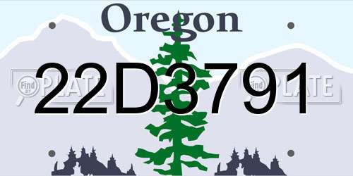 22D3791 Oregon License Plate