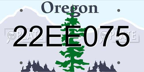 22EE075 Oregon License Plate