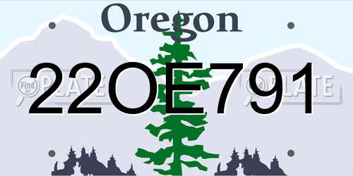 22OE791 Oregon License Plate