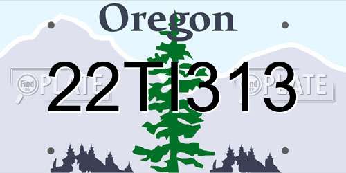 22TI313 Oregon License Plate