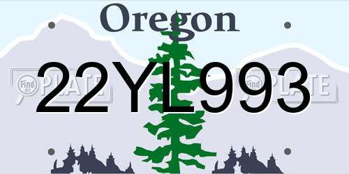 22YL993 Oregon License Plate