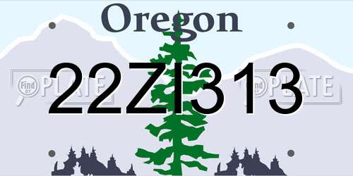 22ZI313 Oregon License Plate