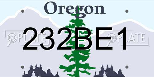 232BE1 Oregon License Plate
