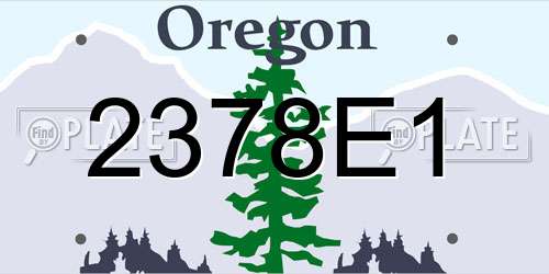 2378E1 Oregon License Plate