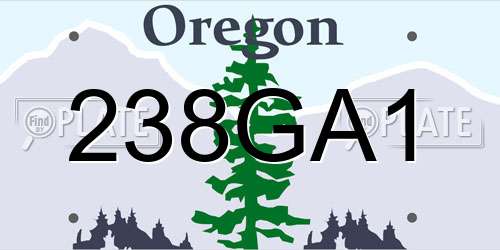 238GA1 Oregon License Plate