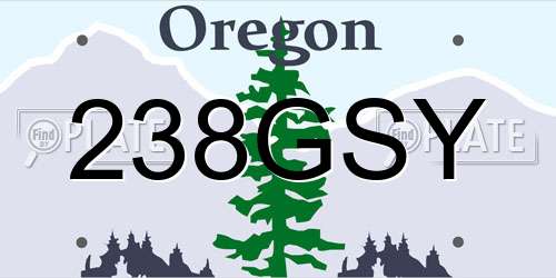 238GSY Oregon License Plate