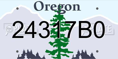 24317B0 Oregon License Plate