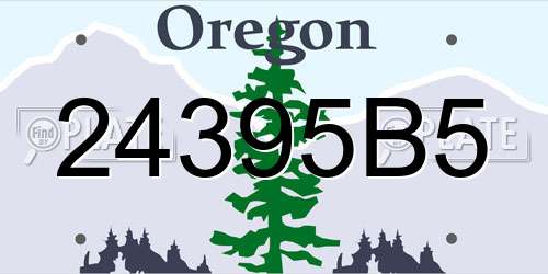 24395B5 Oregon License Plate