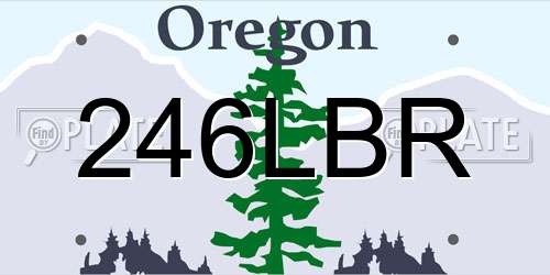 246LBR Oregon License Plate