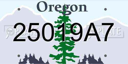 25019A7 Oregon License Plate