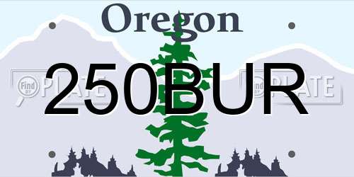 250BUR Oregon License Plate