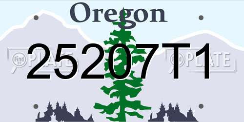 25207T1 Oregon License Plate