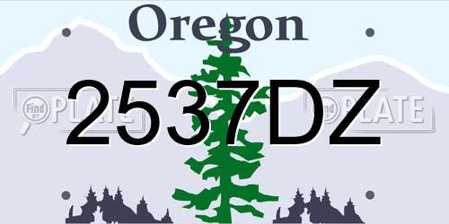 2537DZ Oregon License Plate