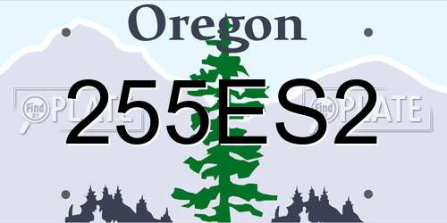 255ES2 Oregon License Plate