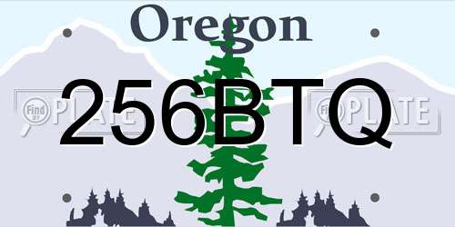 256BTQ Oregon License Plate