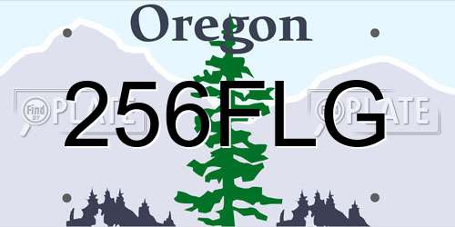 256FLG Oregon License Plate