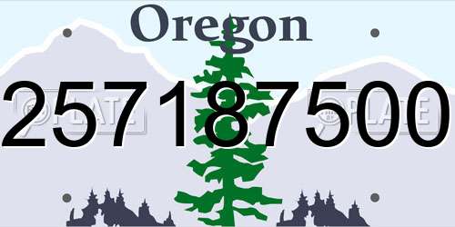 257187500 Oregon License Plate