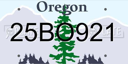 25BO921 Oregon License Plate
