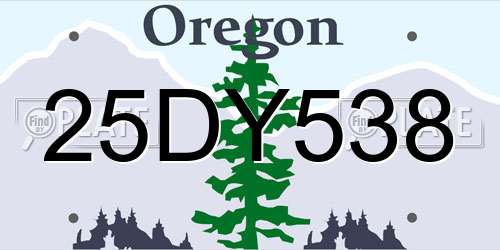 25DY538 Oregon License Plate