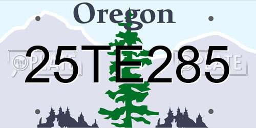 25TE285 Oregon License Plate
