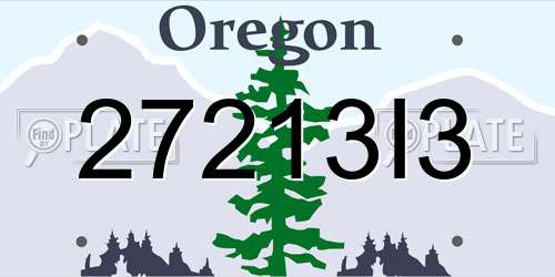 27213I3 Oregon License Plate